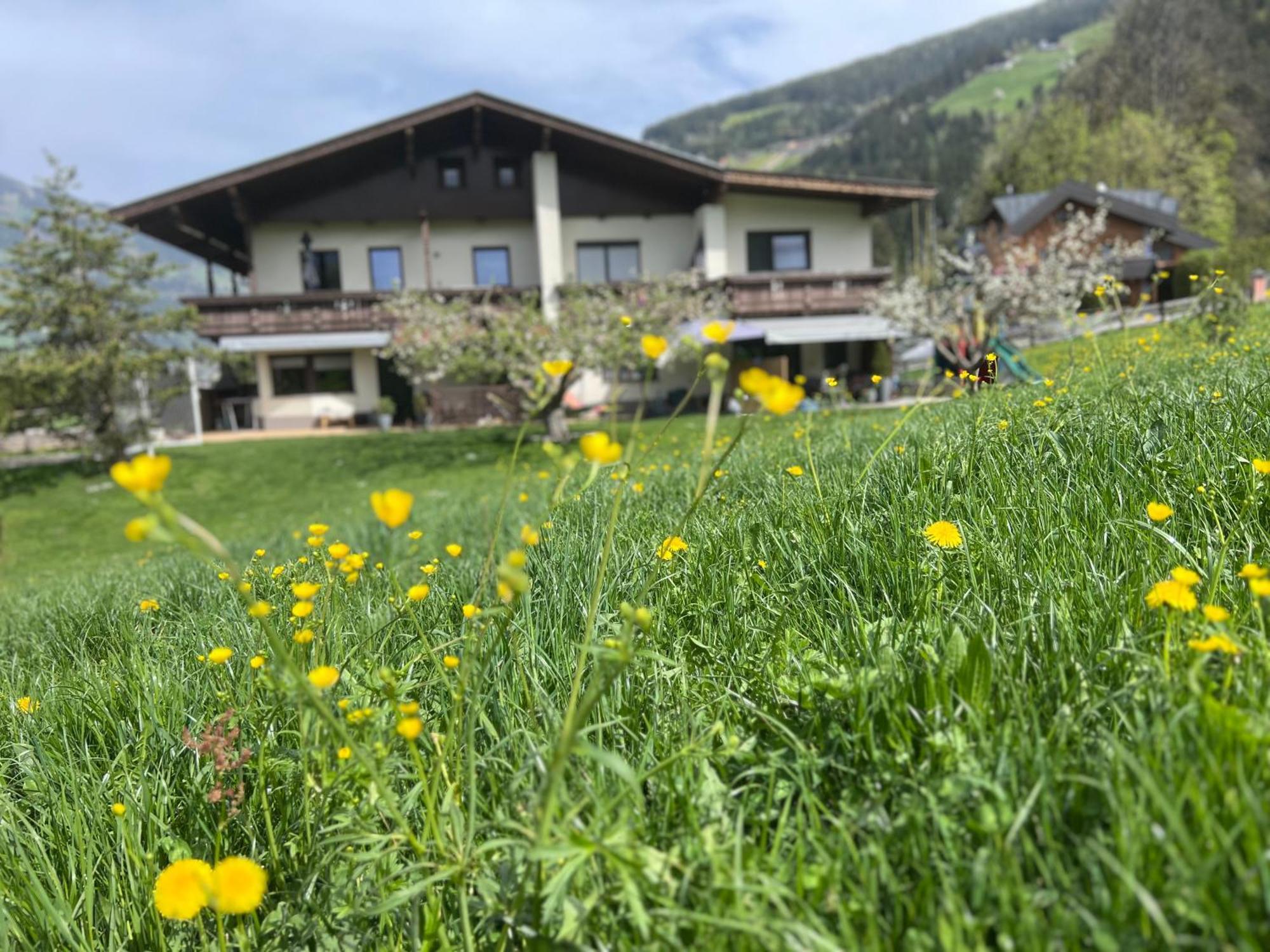 Bergblick